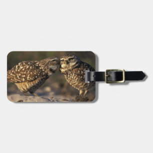 Florida, Fort Myers. Burrowing Owl pair bonding Luggage Tag