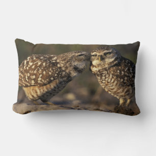 Florida, Fort Myers. Burrowing Owl pair bonding Lumbar Cushion