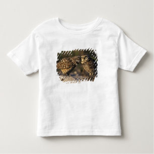 Florida, Fort Myers. Burrowing Owl pair bonding Toddler T-Shirt