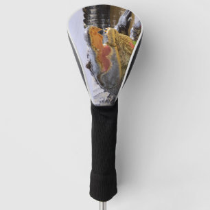 Florida Gator portrait Golf Head Cover