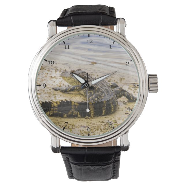 Florida gator watch (Front)