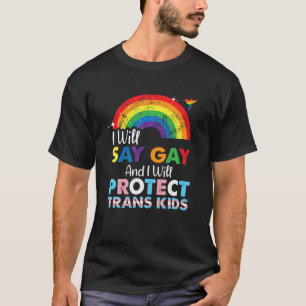 Florida Gay I Will Say Gay And I Will Protect Tran T-Shirt