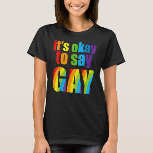 Florida Gay It's Okay To S Ay Gay St Ay Pro Ud Lgb T-Shirt