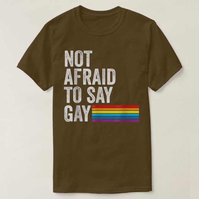 Florida Gay Not Afraid To Say Gay Lgbtq Gay Rights T-Shirt (Design Front)