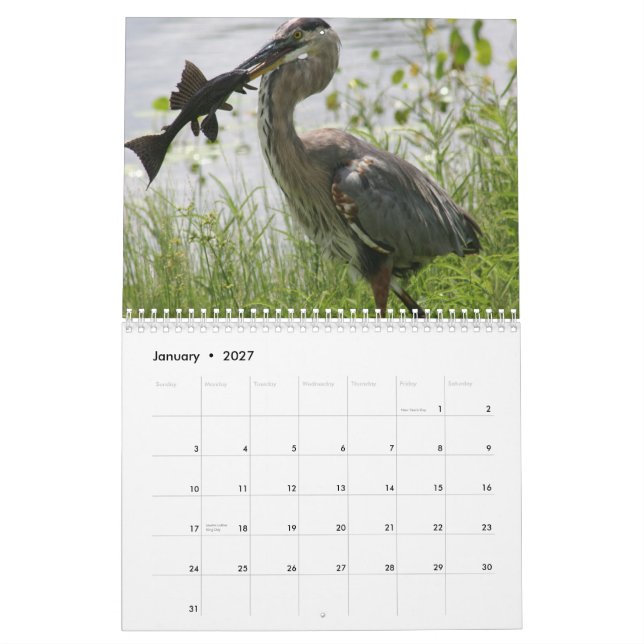 FLORIDA GREAT BLUE HERON CALENDAR (Jan 2027)