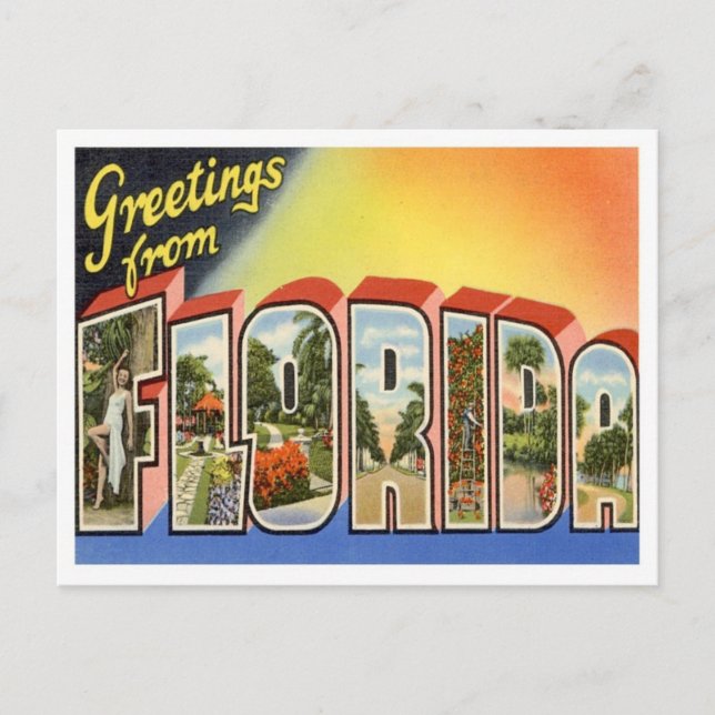 Florida Greetings From US States Postcard (Front)