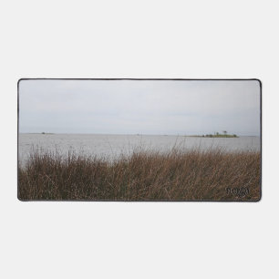 Florida Gulf Beach Forbidding Needlerush photo Desk Mat