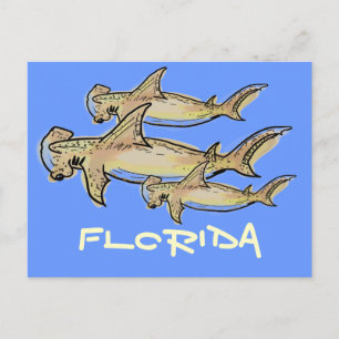 Florida hammerhead sharks postcard