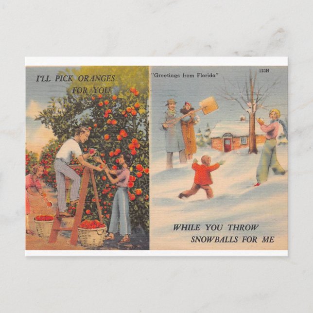 Florida in Winter Postcard (Front)