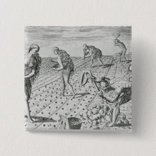 Florida Indians planting maize 15 Cm Square Badge