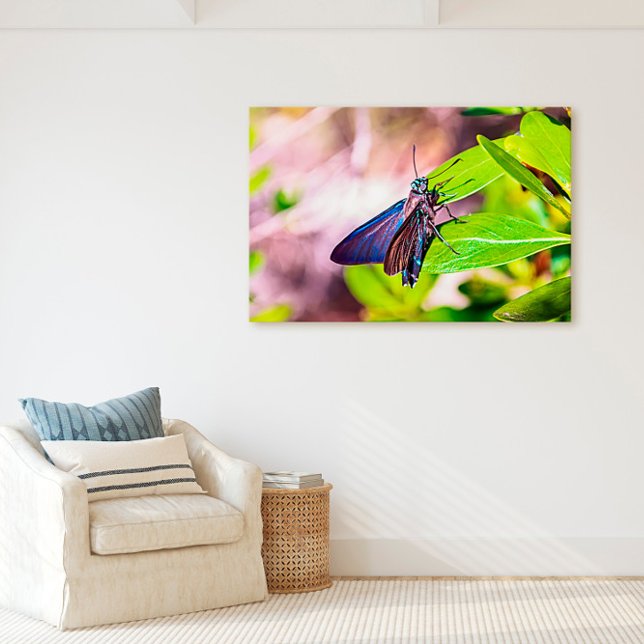 Florida Keys Bahia Honda Blue Butterfly Canvas Print (Creator Uploaded)