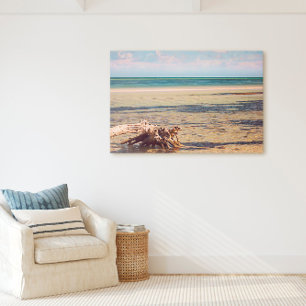 Florida Keys Bahia Honda Driftwood Beach Canvas Print