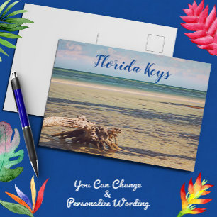 Florida Keys Bahia Honda Driftwood Beach Postcard