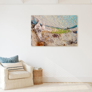 Florida Keys Bahia Honda Driftwood Shore Canvas Print