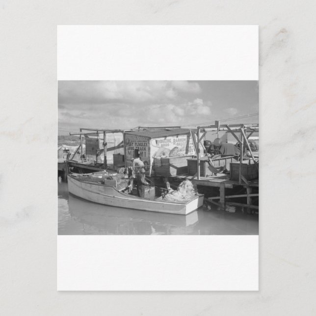 Florida Keys Fishing, 1938 Postcard (Front)