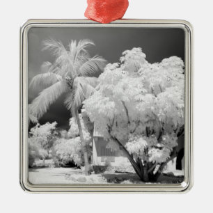 Florida Keys house and its palm trees, USA. 2 Metal Tree Decoration