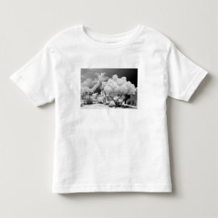Florida Keys house and its palm trees, USA. 2 Toddler T-Shirt