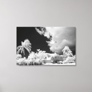 Florida Keys house and its palm trees, USA. Canvas Print