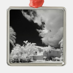 Florida Keys house and its palm trees, USA. Metal Tree Decoration