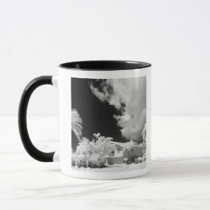 Florida Keys house and its palm trees, USA. Mug