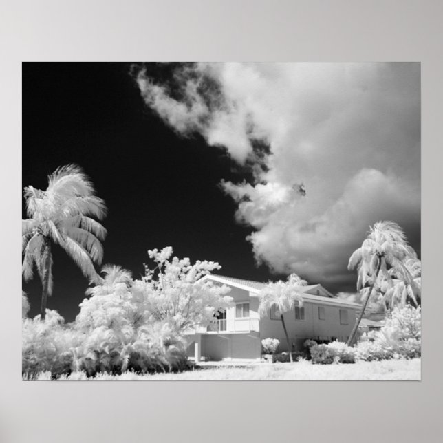 Florida Keys house and its palm trees, USA. Poster (Front)