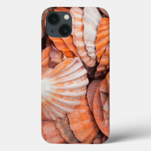 Florida Keys, Key West, seashells iPhone 13 Case