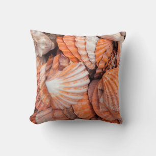 Florida Keys, Key West, seashells Cushion