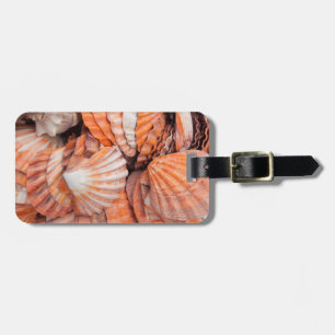 Florida Keys, Key West, seashells Luggage Tag