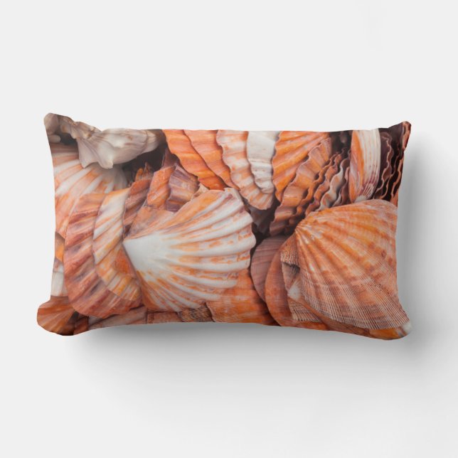 Florida Keys, Key West, seashells Lumbar Cushion (Front)