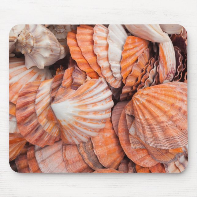 Florida Keys, Key West, seashells Mouse Pad (Front)