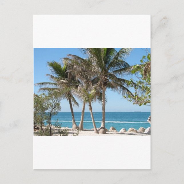 Florida Keys Postcard (Front)