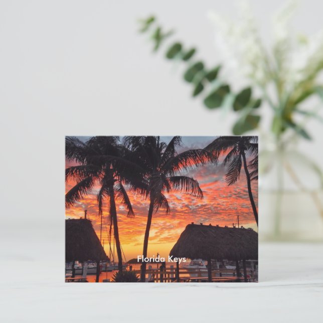 Florida Keys tropical sunset Postcard (Standing Front)