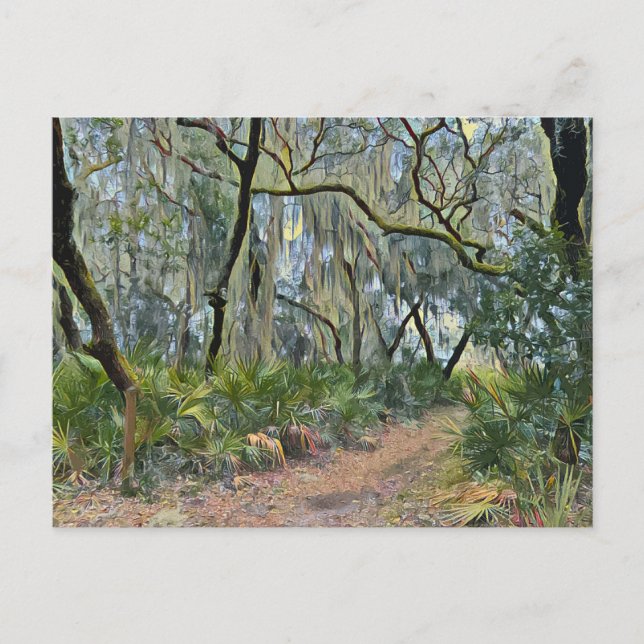 Florida Lace Spanish Moss Impressionist Art Postcard (Front)