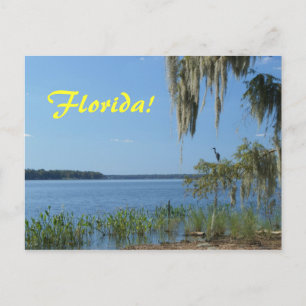 Florida Lake Postcard