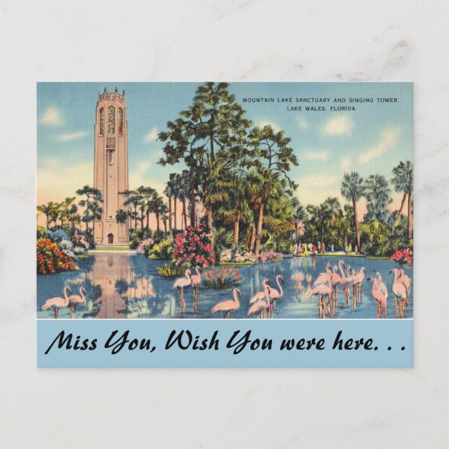 Florida, Lake Wales, Bok Singing Tower Postcard (Front)