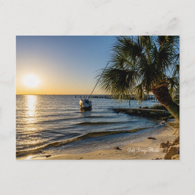 Florida Leaning Palm Tree Sunset Postcard (Front)