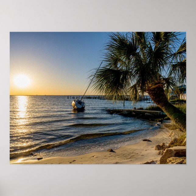 Florida Leaning Palm Tree Sunset Poster (Front)