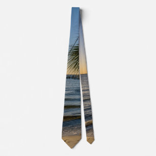 Florida Leaning Palm Tree Sunset Tie