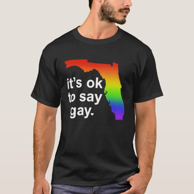 Florida LGBTQ It's OK to Say Gay Protect LGBTQ Fre T-Shirt (Front)