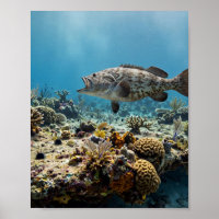 Florida Man Gag Grouper Coral Reef Fishing Art