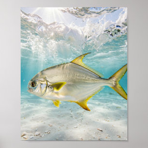 Florida Man Pompano Surf White Sand Fishing Art Poster