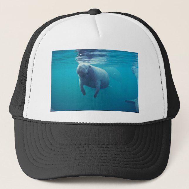 Florida Manatee Trucker Hat (Front)