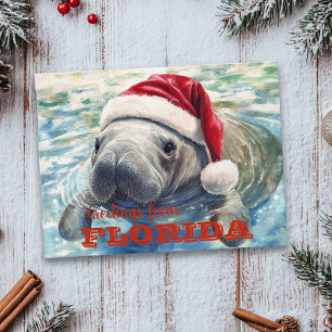 Florida Manatee Watercolor Christmas Postcard