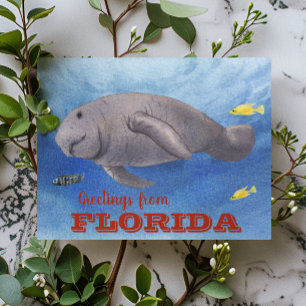 Florida Manatee Watercolor underwater Postcard