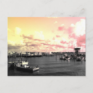 Florida Marina Photo Yellow and Pink Sky Postcard
