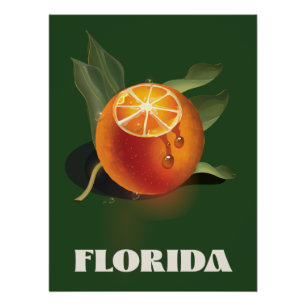 Florida Orange travel poster Canvas Print