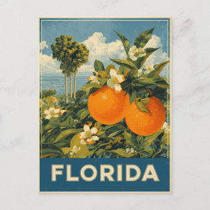 Florida Oranges Vintage Travel Postcard