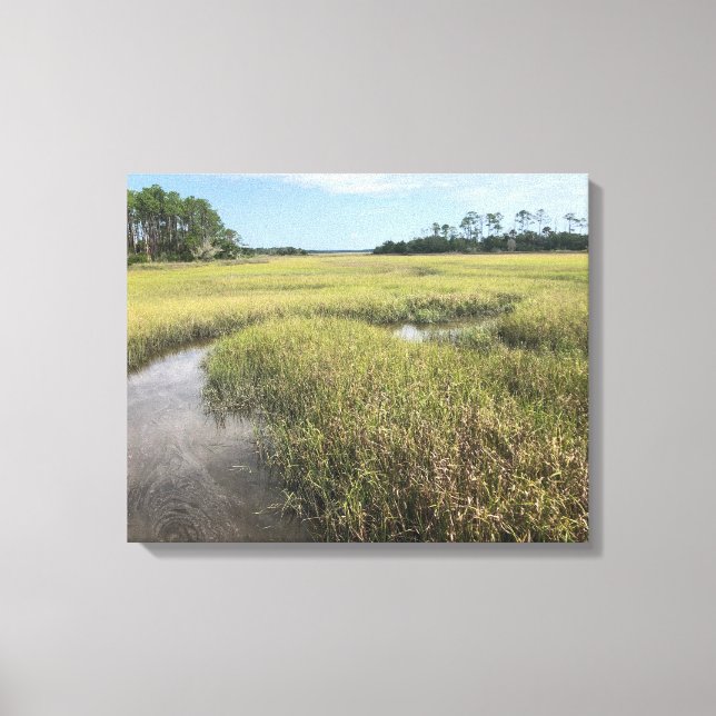 Florida Palencia Photograph Canvas Print (Front)