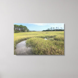 Florida Palencia Photograph Canvas Print