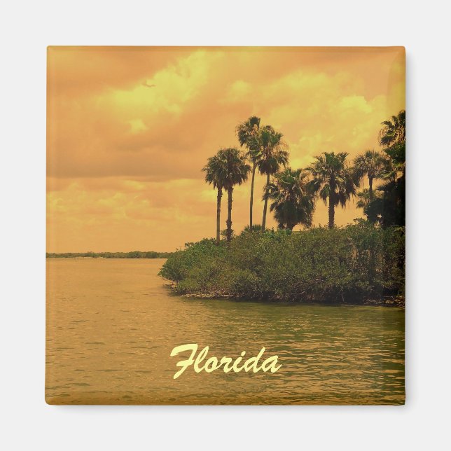 Florida Palm Tree Reverie Magnet (Front)